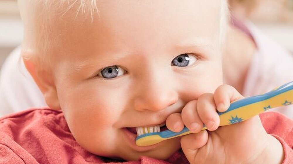 Richtiges Zähneputzen kann nicht früh genug eingeübt werden – neben der Gruppenprophylaxe ist auch ein frühzeitiger Besuch beim Zahnarzt notwendig, um den Präventionsgedanken zu verankern.
