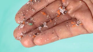 Mikroplastik aus verschmutztem Wasser auf einer Hand