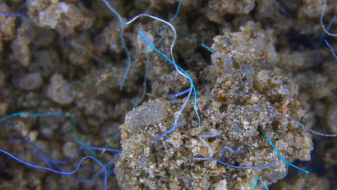 Über Abwasser und Klärschlamm gelangt Mikroplastik, hier Polyacrylfasern, ins Erdreich.