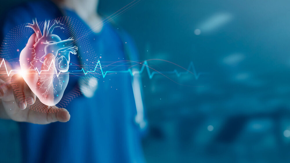 Cardiologist doctor examine patient heart functions and blood vessel on virtual interface. Medical technology and healthcare treatment to diagnose heart disorder and disease of cardiovascular system.