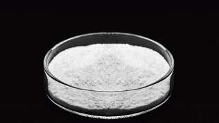 Themenbild zeigt weißes Pulver in einer Petrischale