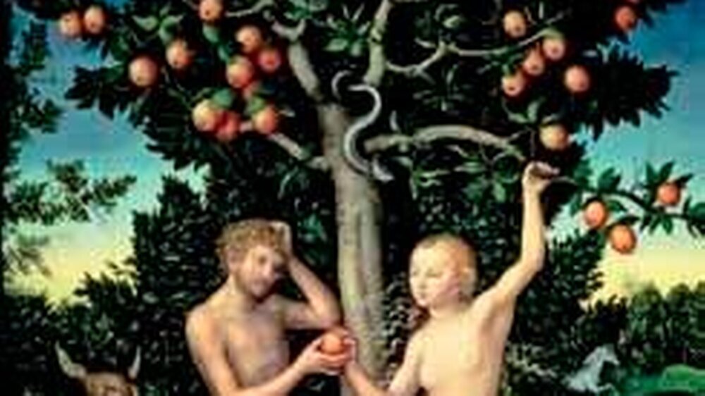Die Frucht vom Baum der Erkenntnis