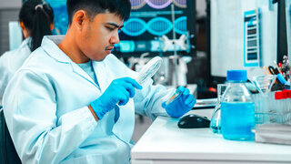 Junger asiatischer Wissenschaftler, der in einem Labor mit einer Lupe eine Petrischale mit sichtbarem Mikrobenwachstum untersucht.