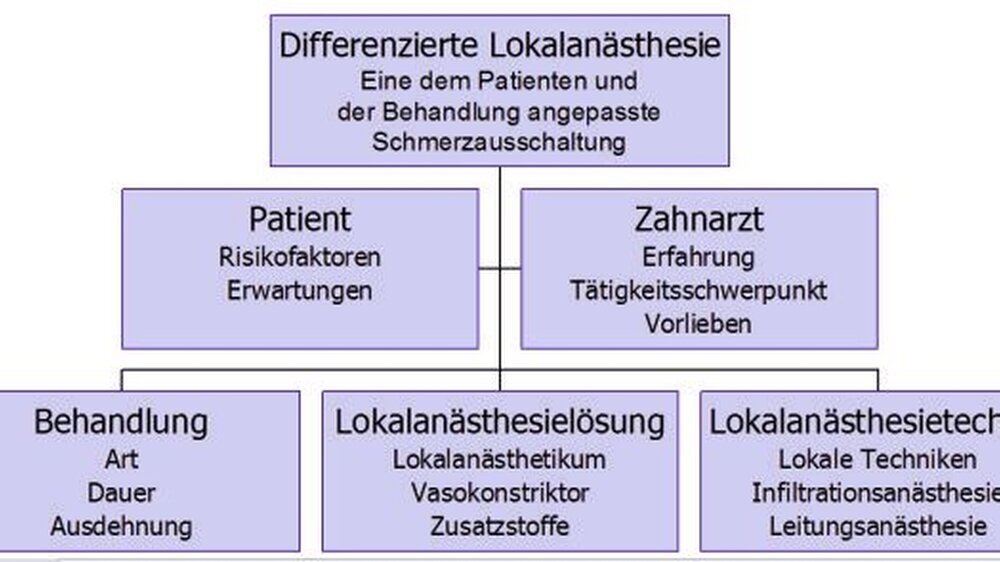 Abbildung 1: Organigramm der einzelnen variablen Faktoren der differenzierten Lokalanästhesie.