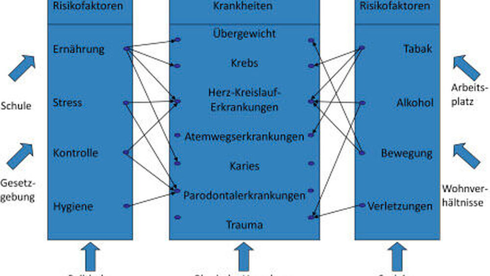 Abbildung 4: Der Common Risk Factor Approach; gemeinsame Risikofaktoren für eine Reihe chronischer Erkrankungen |