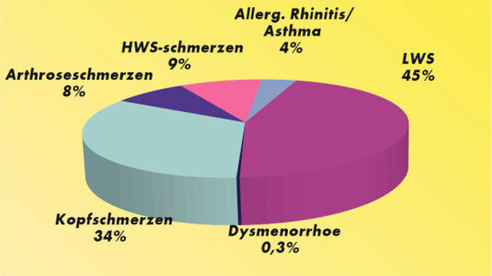 Verteilung der 250 000 Patienten über die erfassten Indikationen (Quelle: Charité, Techniker-Krankenkasse, 2004)