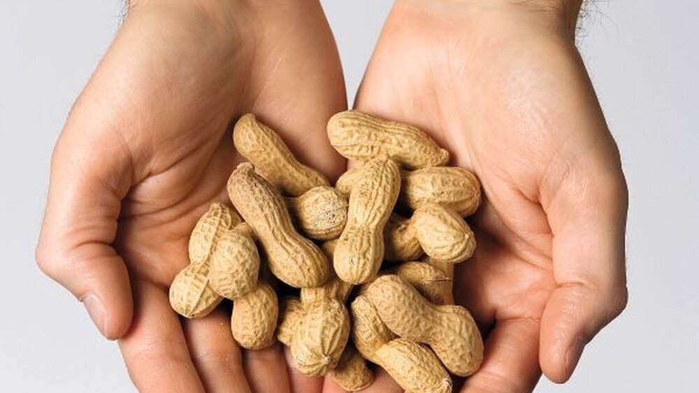 Alles nur „Peanuts“? Was Finanzpolitiker und Banker angesichts der globalen Wirtschaftsmisere über den Gesundheitsfonds auch immer denken mögen: Für Patienten geht es um medizinische Versorgung und ihr „höchstes Gut“ Gesundheit.