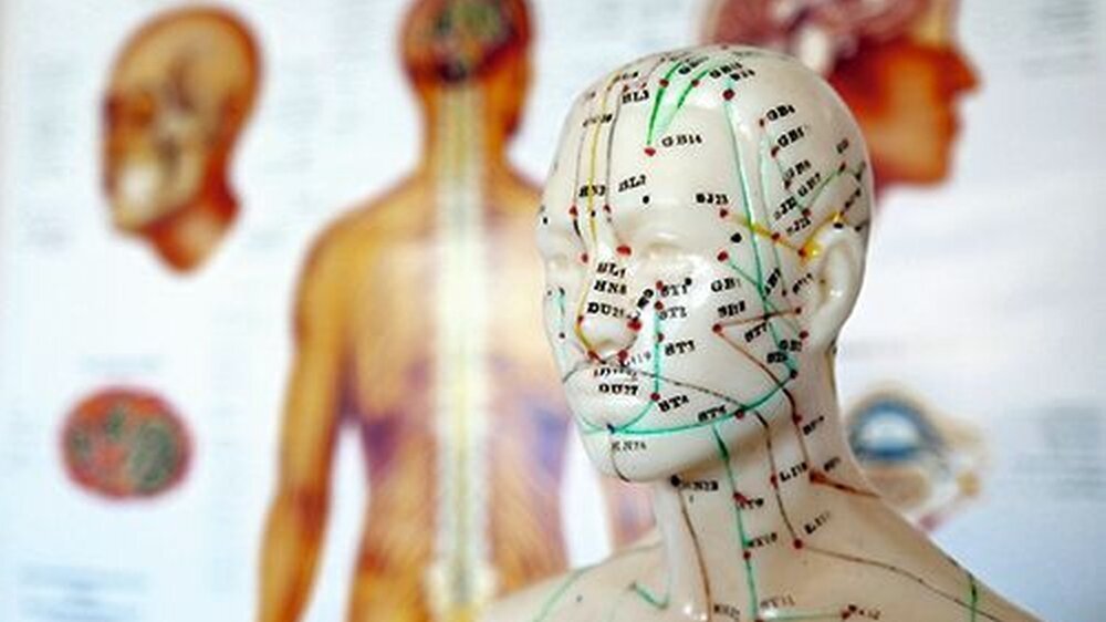 Am Pranger: die „unwissenschaftliche Gedankenwelt“ in der alternativen und komplementären Medizin sowie das „Missverhältnis von Qualität und Befugnissen der Heilpraktiker“.