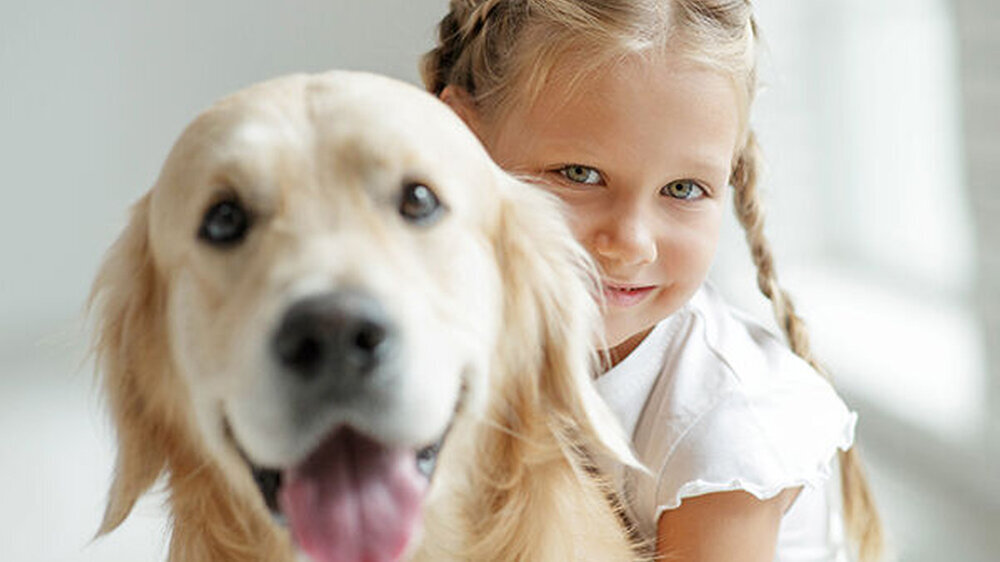 Die Anwesenheit eines Therapiehundes konnte in einer klinischen Studie das Angstlevel von Kindern während einer zahnärztlichen Behandlung signifikant reduzieren.