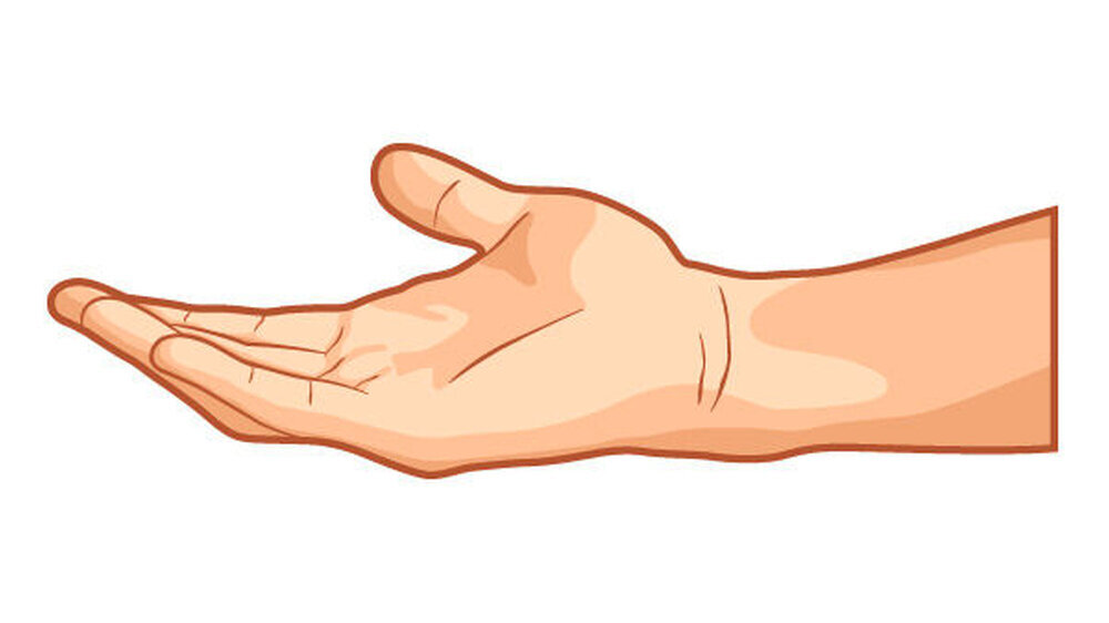 Die Transplantation einer Hand unterscheidet sich von der einer Niere.