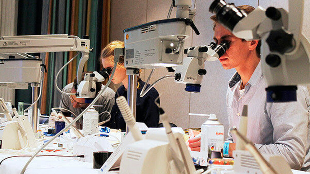 Von Ästhetik bis Implantologie: Der „dental summer“ findet laut Veranstalter bewusst unter keinem übergreifenden Thema statt, sondern soll vielmehr der ganzen Bandbreite der modernen Zahnmedizin gerecht werden. |
