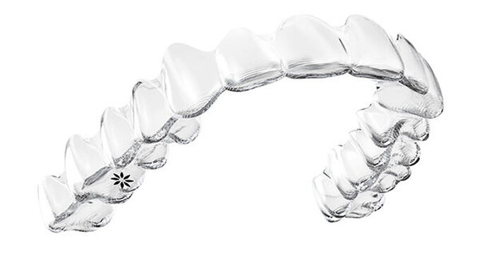 127842-flexible-1900.jpg 127842-flexible-1900.jpg