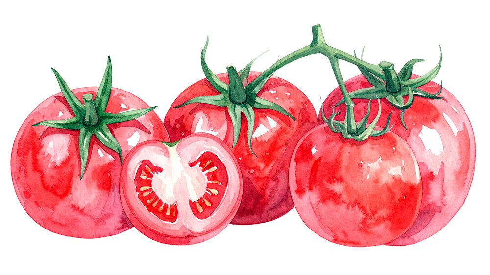 Illustration Tomaten
