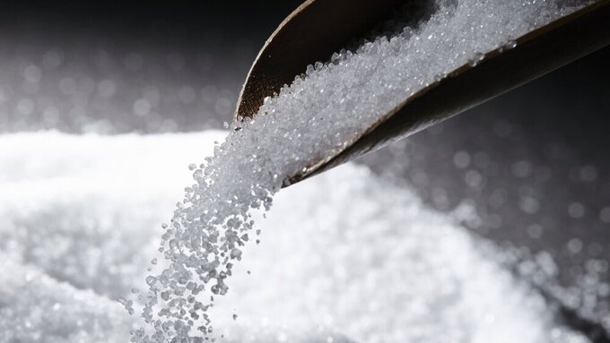 xylitol Xylit