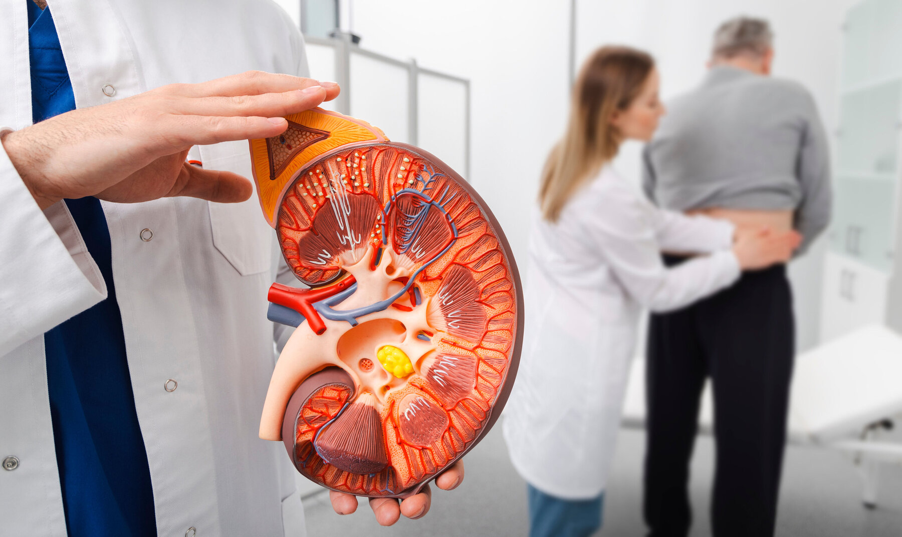 Themenbild Urologie und Behandlung von Nierenerkrankungen Themenbild Urologie und Behandlung von Nierenerkrankungen