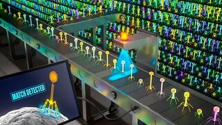 Laborwerkzeug in der Phagentherapie an der Universität Thübingen.