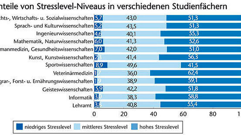 51 Prozent der Befragten gaben an, sehr gestresst zu sein. Den Forschern zufolge machen sich die gestiegenen Anforderungen an den Unis bemerkbar. |