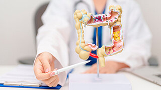Doctor with human Colon anatomy model. Colonic disease, Large Intestine, Colorectal cancer, Ulcerative colitis, Diverticulitis, Irritable bowel syndrome, Digestive system and Healthcare concept