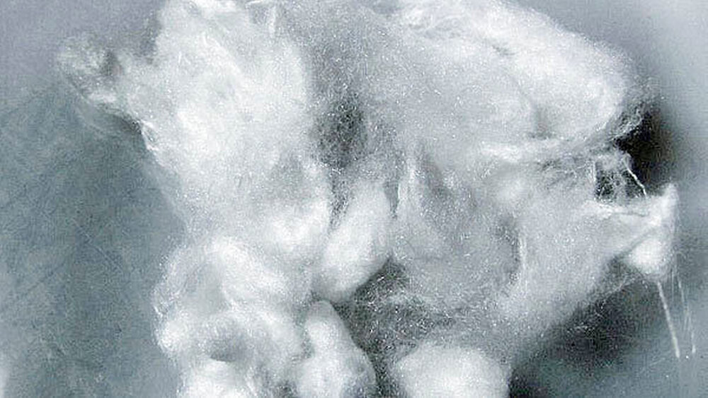 Abbildung 1: Elektronenmikroskopische Aufnahme von Rohseidenfäden |