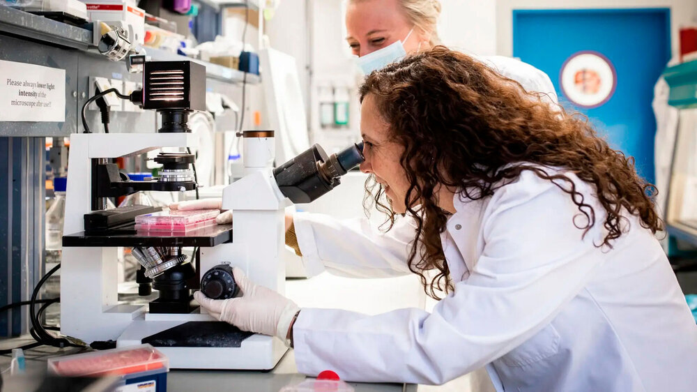 Am TUM Klinikum erforscht Privatdozentin Dr. Jennifer Altomonte sogenannte onkolytische Viren – Erreger, die Tumorzellen befallen. Mit dem Start-up Fusix Biotech will sie neue Krebstherapien auf Basis dieser Viren entwickeln. Am TUM Klinikum erforscht Privatdozentin Dr. Jennifer Altomonte sogenannte onkolytische Viren – Erreger, die Tumorzellen befallen. Mit dem Start-up Fusix Biotech will sie neue Krebstherapien auf Basis dieser Viren entwickeln.