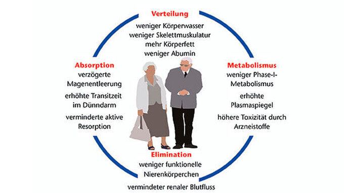 Abbildung 1: Wichtige pharmakokinetische Ursachen für Probleme in der Pharmakotherapie bei älteren Patienten\r\n\r\n