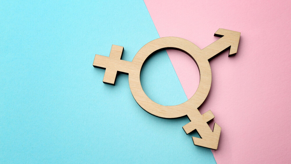 Transgender geschlechtergerecht geschlechtersensibel intersexuell Gender Data Gap