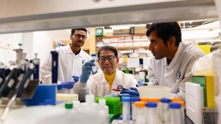 Forscher der Tufts University im Labor.