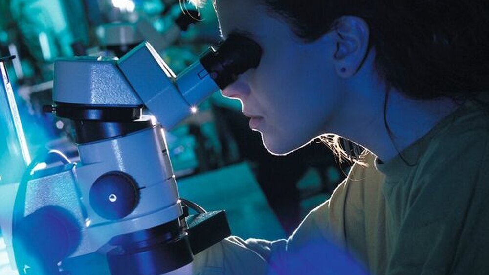 Die Wissenschaft liefert neue Erkenntnisse, die für die Öffentlichkeit oft nur über Bezahlschranken im Internet verfügbar sind.