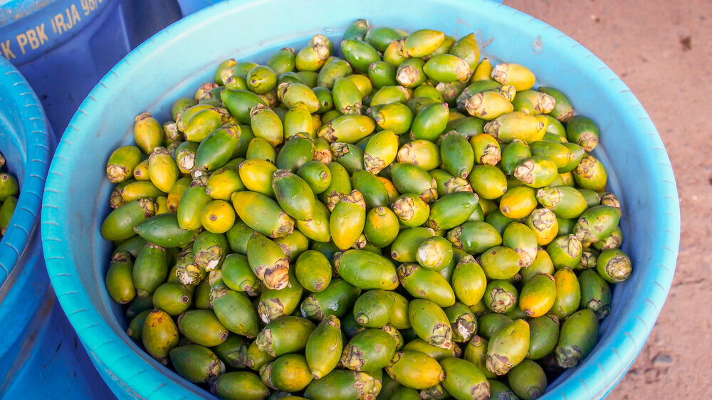 Betelnüsse Betel nuts in the blue basket on the bazaar in Wamena city. The name of the fruit is Bethel.