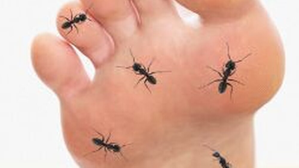 Ein Gefühl, als würden Hunderte Ameisen auf den Füßen und den Beinen kribbeln – viele Diabetiker leiden enorm unter Komplikationen der Stoffwechselstörung wie der diabetischen Neuropathie.