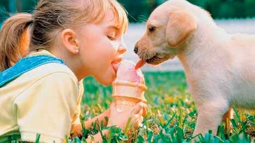Zwei feste Freunde, ein Eis. Hunde sind für Kinder oft als Kamerad ein Segen – aber hygienische Regeln sollten gelten.