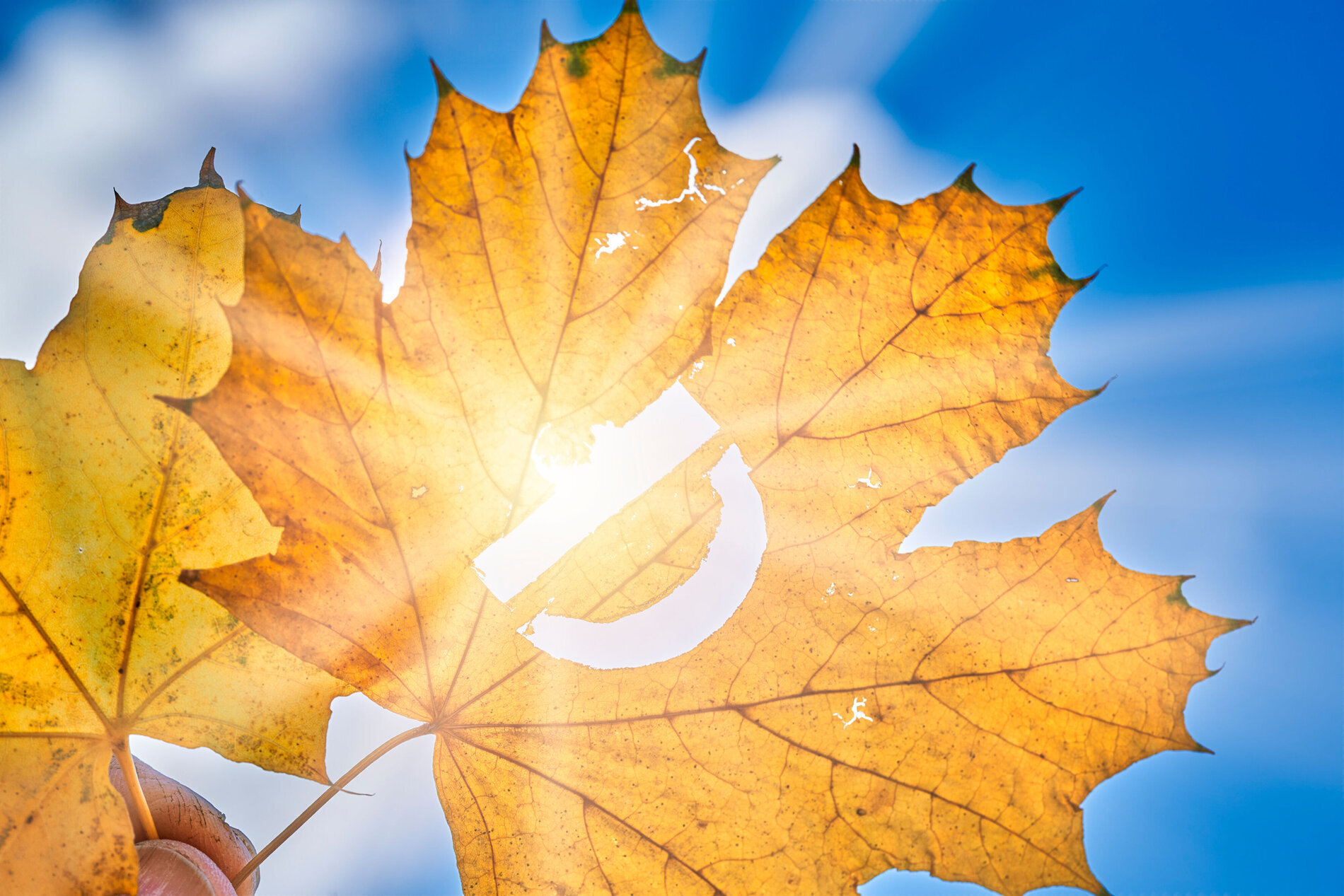 Image related to Starker Vitamin-D-Mangel erhöht Risiko für schwere Atemwegsinfektionen