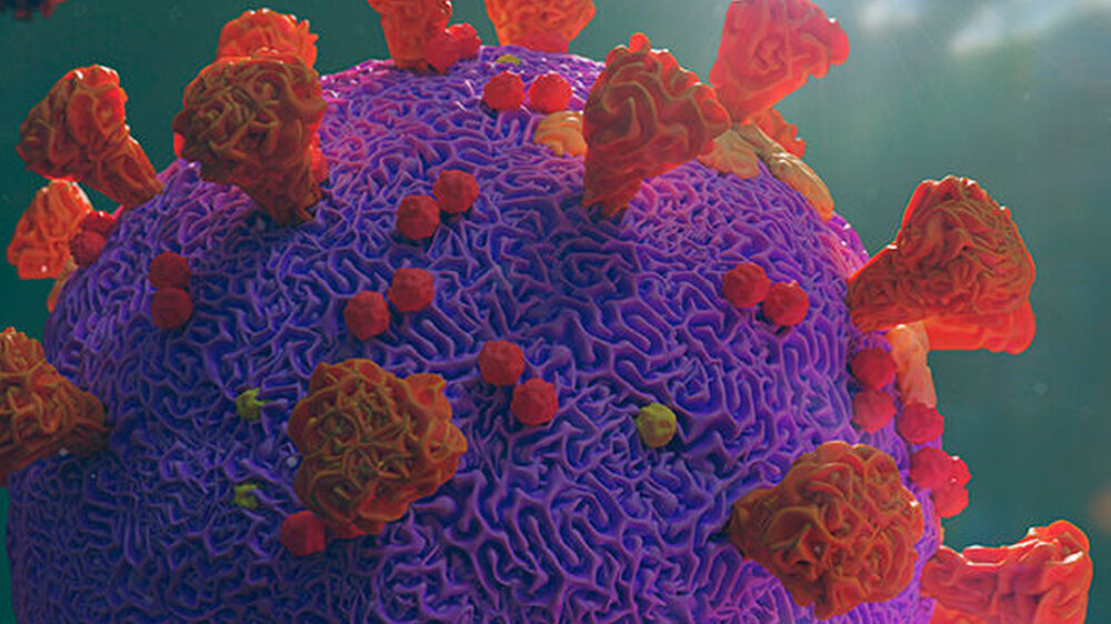 SARS-CoV-2 nutzt eine Vielzahl raffinierter Strategien, um das menschliche Immunsystem auszutricksen. Nur so gelingt es dem Virus, Menschen effektiv zu infizieren und sich rasch auszubreiten.