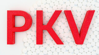 Schriftzug PKV in rot auf weißem Hintergrund
