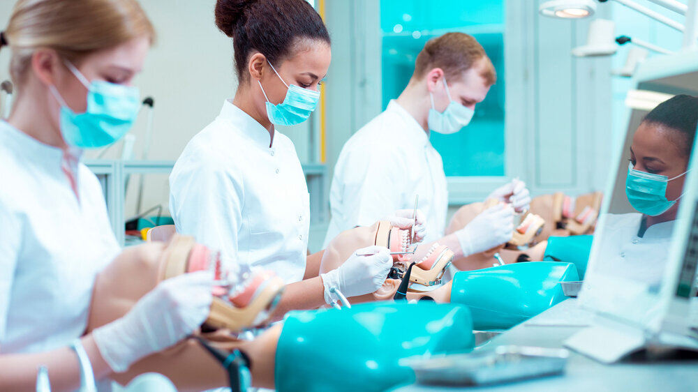 Busy medicine students on classes Zahnmedizinstudierende am Phantomkopf