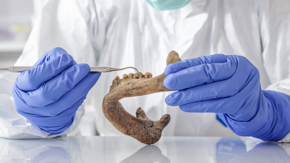 Forschende erwecken Steinzeit-Moleküle wieder zum „Leben“