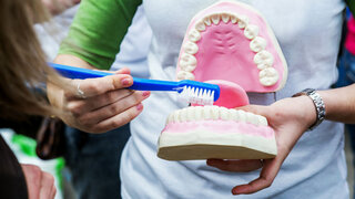 Woman  showing on a jaw model how to clean the teeth with tooth brush properly and right