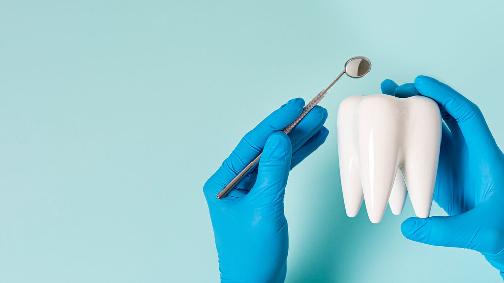 Health dental care concept. Dentist holds white healthy tooth model in his hands on a blue background. Teeth whitening, dental oral hygiene, teeth restoration, implant concept, dentist day. Copy space Zahnmedizin