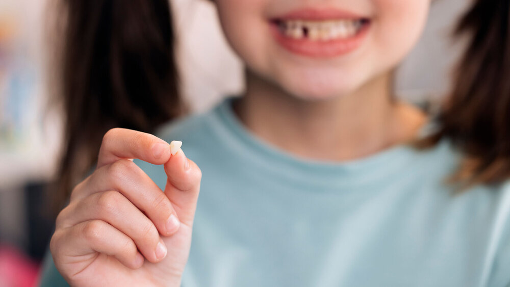 Kleines Mädchen hält verlorenen Milchzahn zwischen den Fingern.