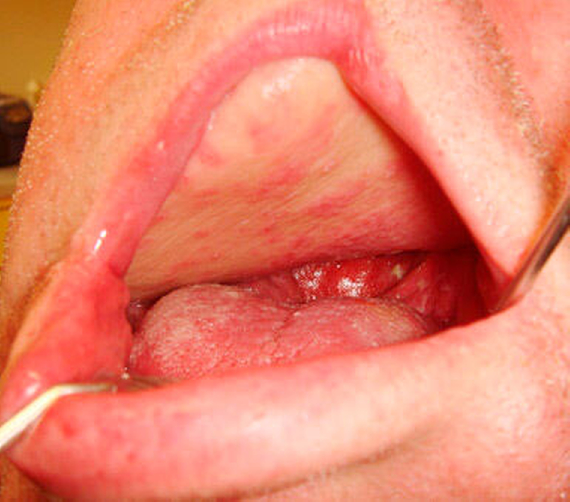 145611-flexible-1900.jpg 145611-flexible-1900.jpg