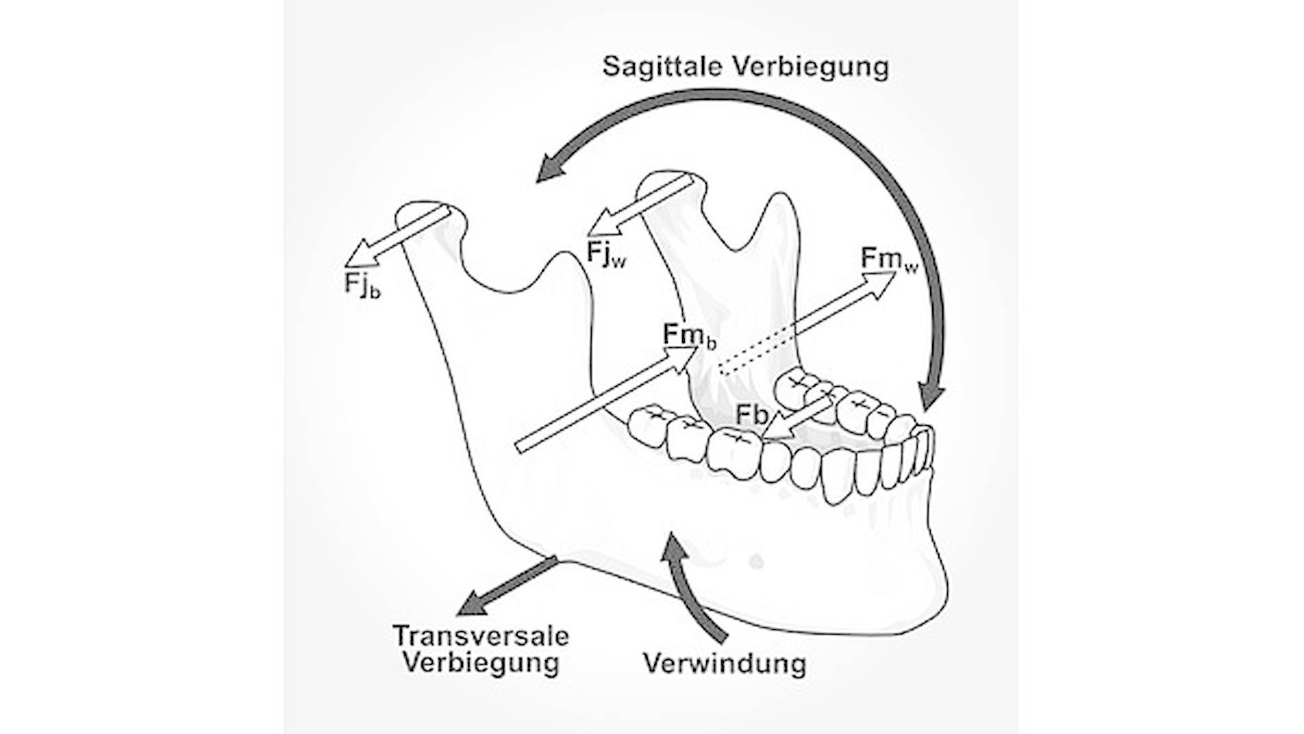 146422-flexible-1900.jpg 146422-flexible-1900.jpg