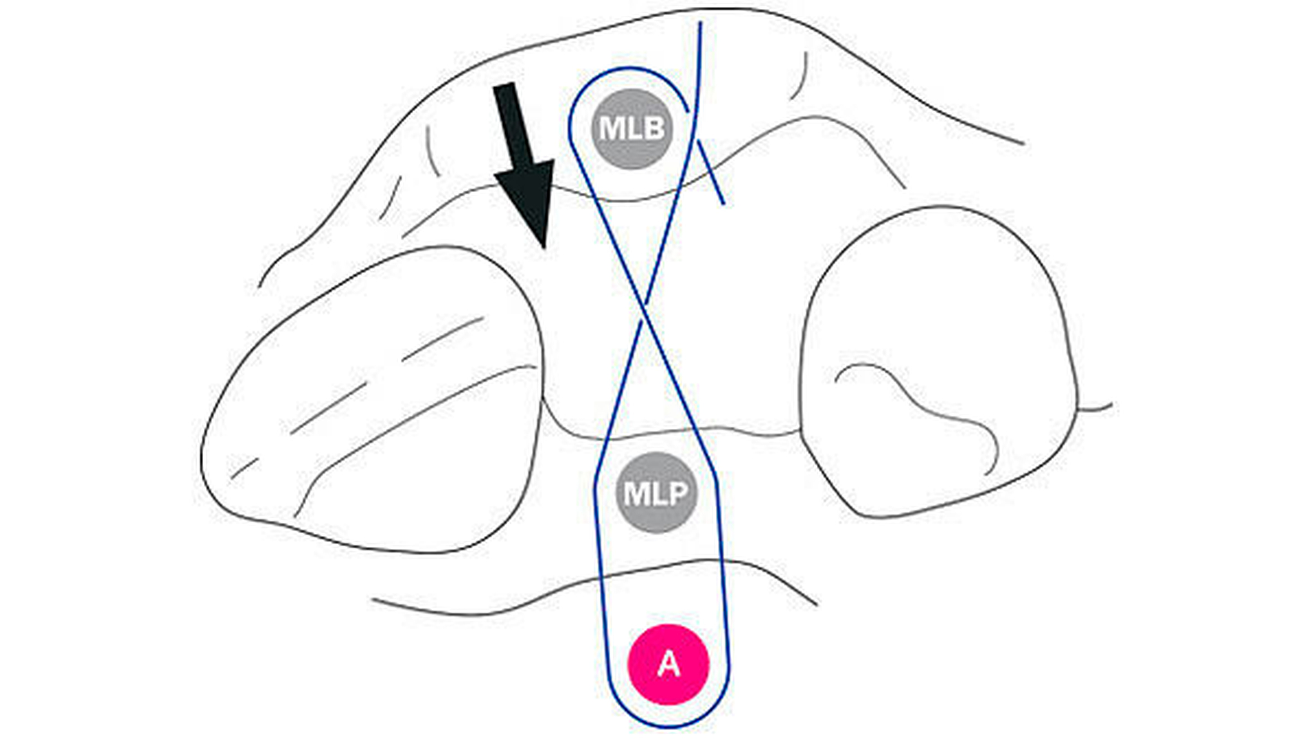 146562-flexible-1900.jpg 146562-flexible-1900.jpg