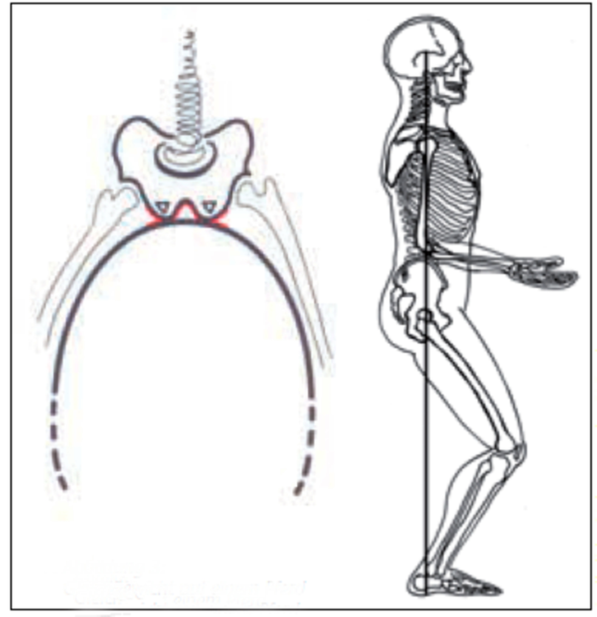 154357-flexible-1900.jpg 154357-flexible-1900.jpg