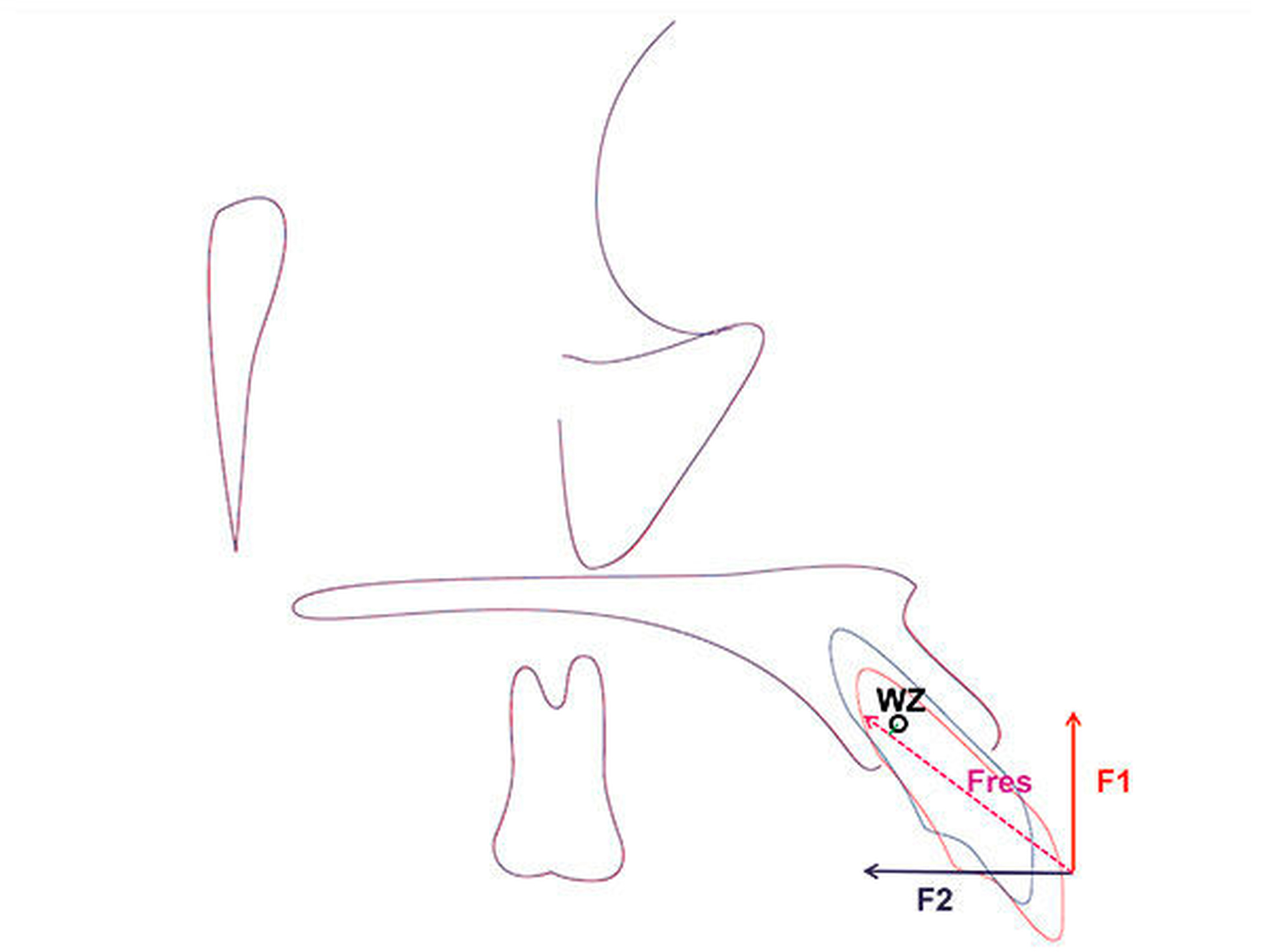 158380-flexible-1900.jpg 158380-flexible-1900.jpg