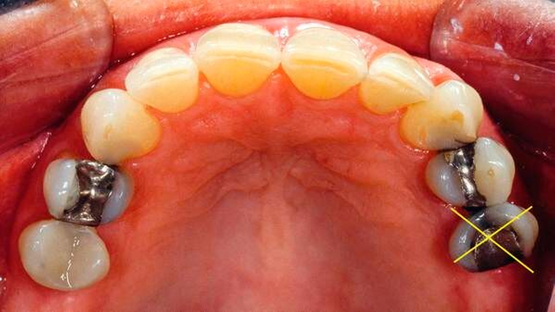 262519-flexible-1900.jpg 262519-flexible-1900.jpg