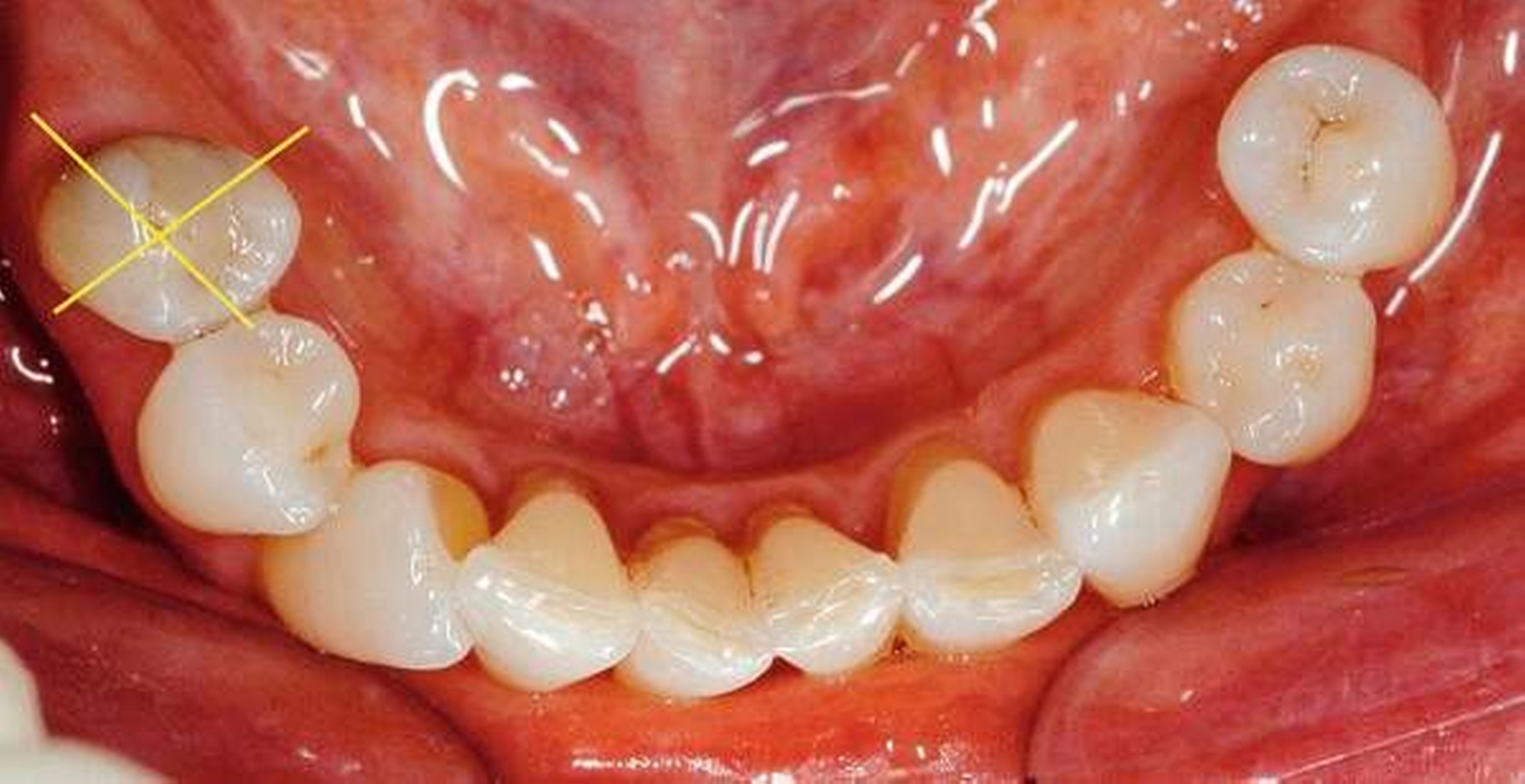 262520-flexible-1900.jpg 262520-flexible-1900.jpg