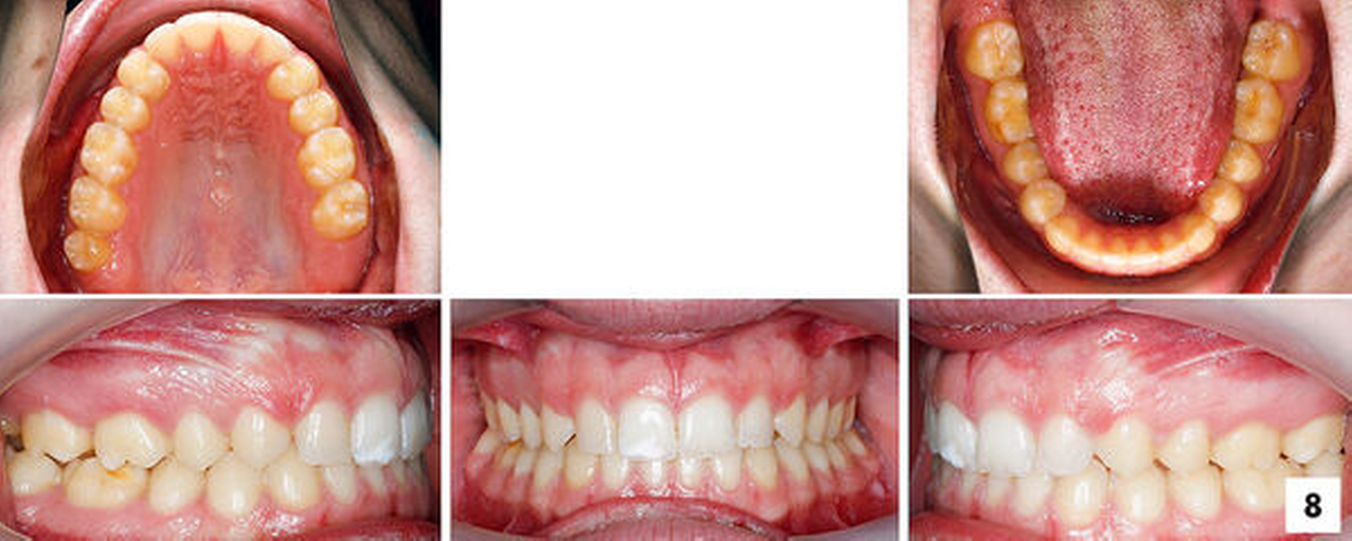 158929-flexible-1900.jpg 158929-flexible-1900.jpg