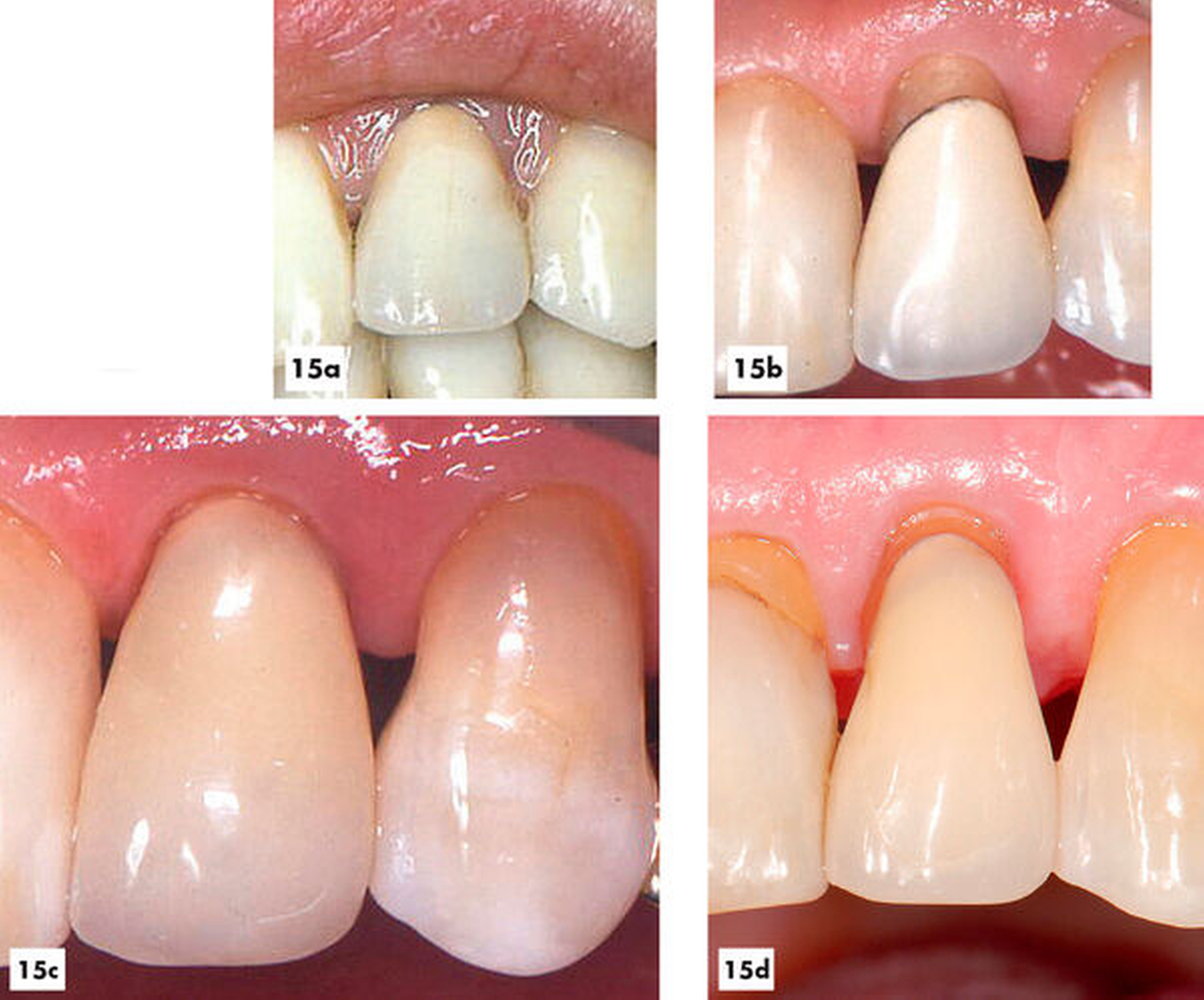159100-flexible-1900.jpg 159100-flexible-1900.jpg