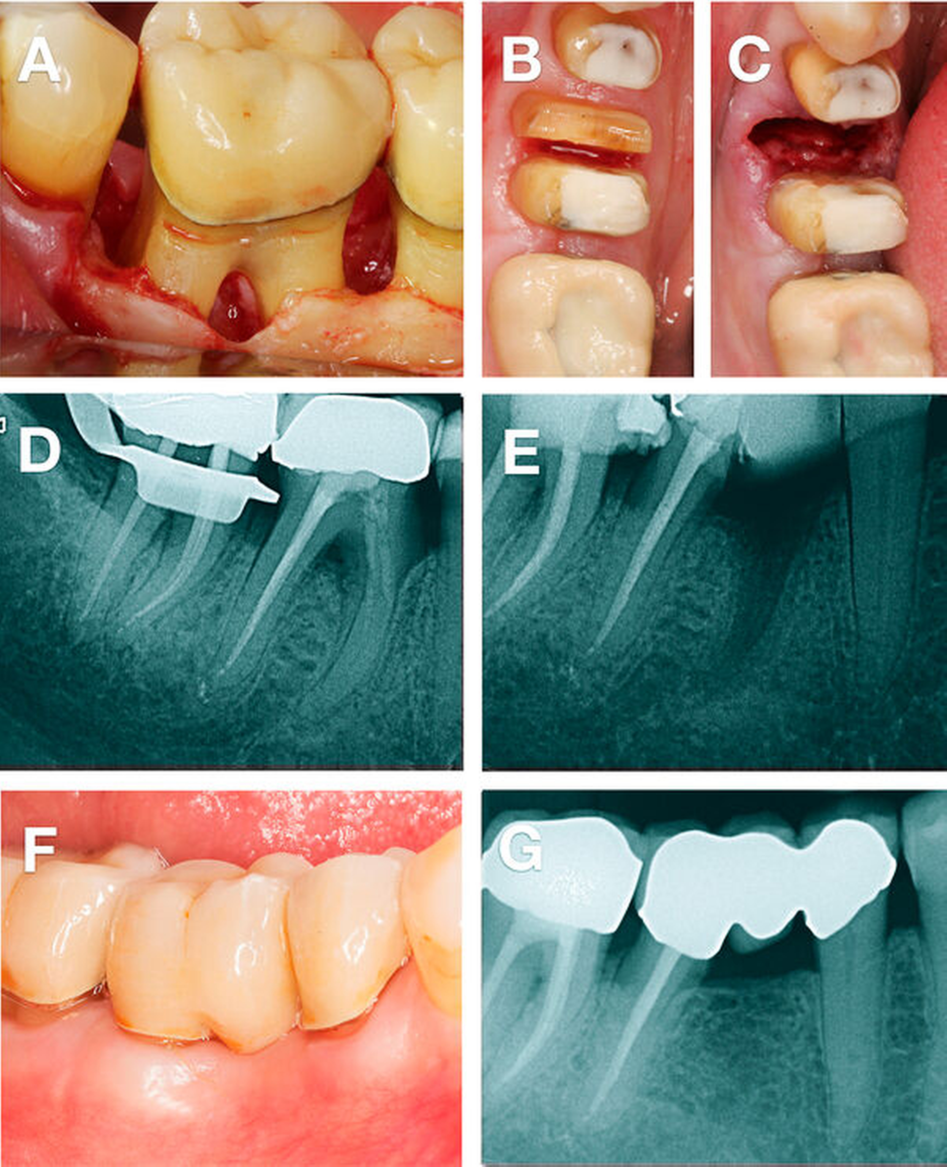 168612-flexible-1900.jpg 168612-flexible-1900.jpg