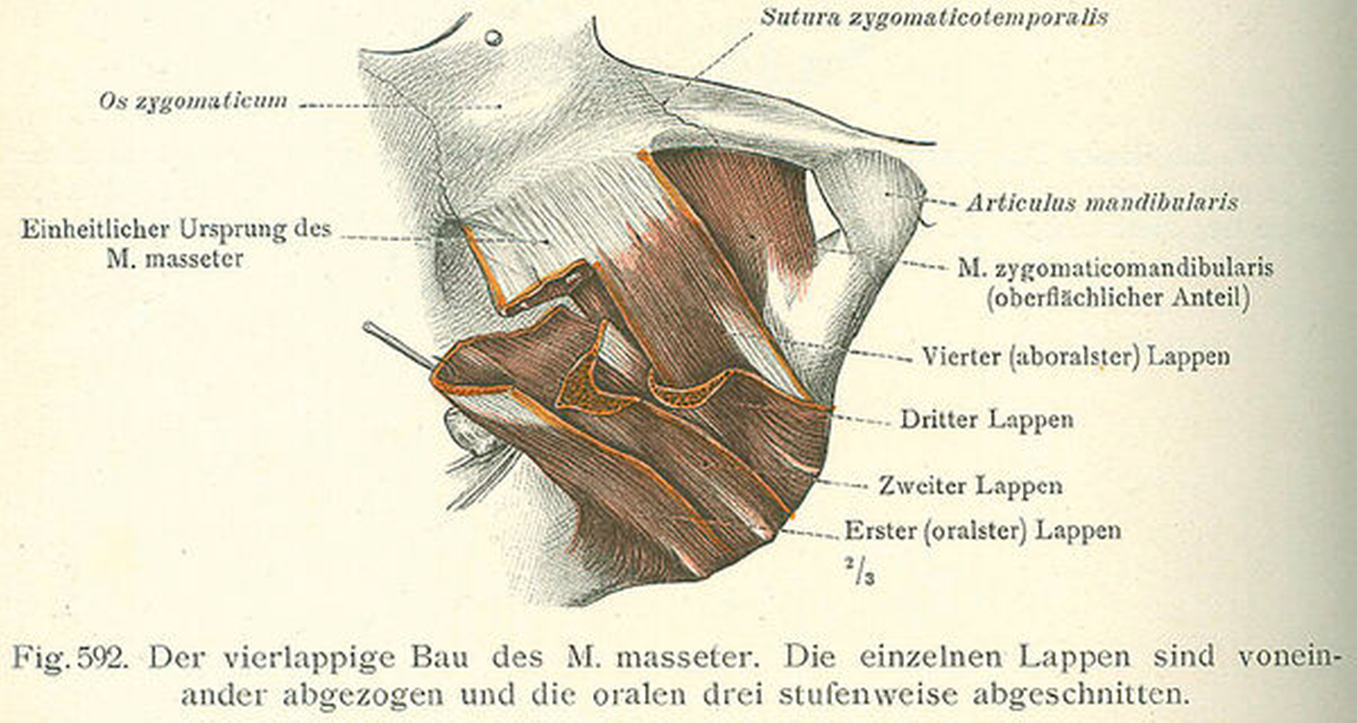 152741-flexible-1900.jpg 152741-flexible-1900.jpg